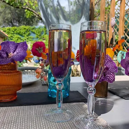 Family Augflor With Pool And Garden